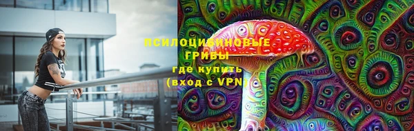 наркотики Богданович